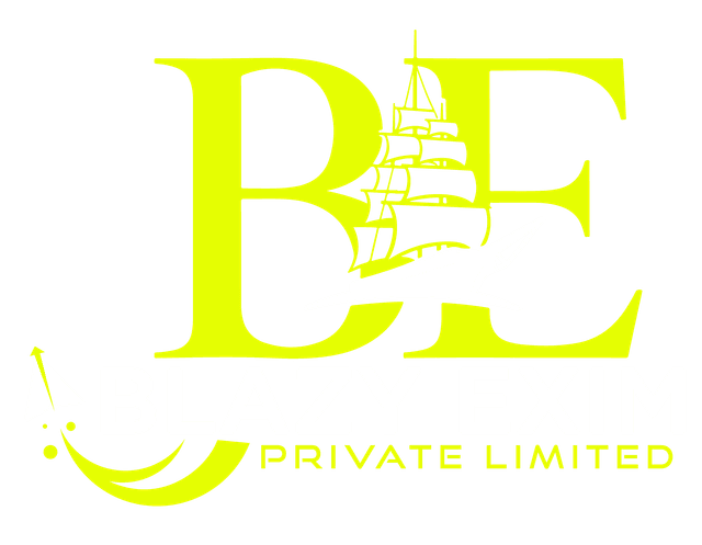 Blazy Exim Logo